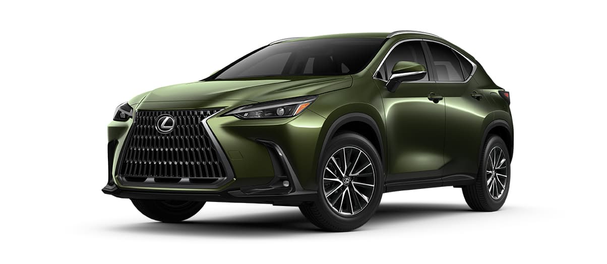 Nori green pearl