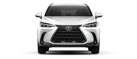 hybrid nx caution